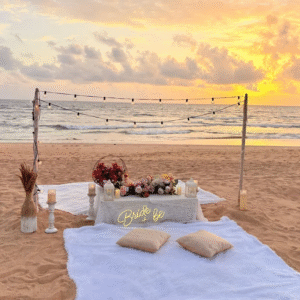 Model Y183 - Free Cake & 2 Pyros